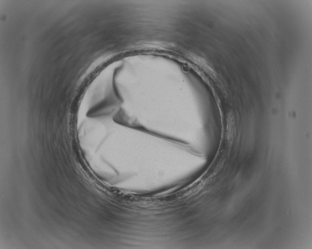 X0000080711404200701050958