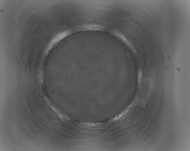 X0000080711405200701050958