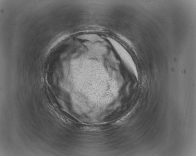 X0000080711407200701050958