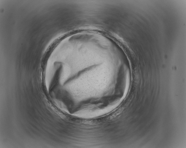 X0000080711408200701050958