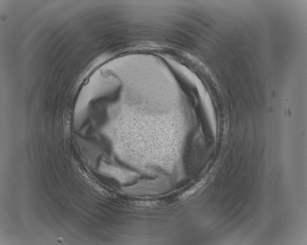 X0000080711409200701050958