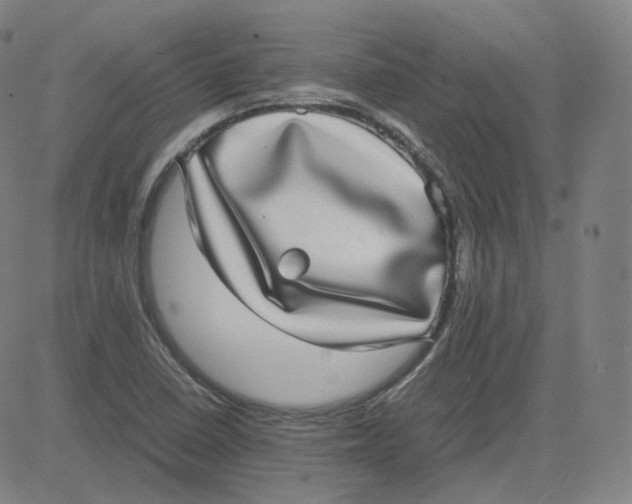 X0000080711410200701050958