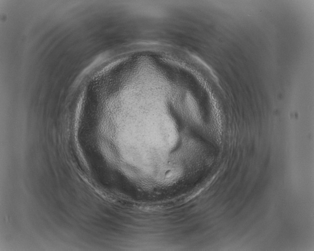 X0000080711411200701050958