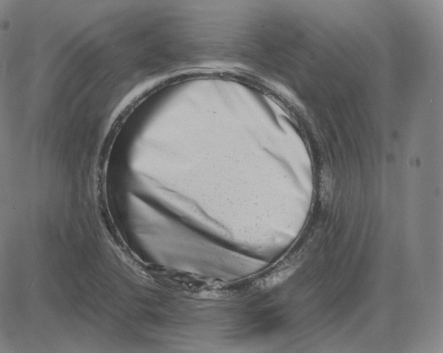 X0000080711412200701050958