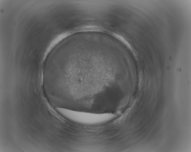 X0000080711413200701050958