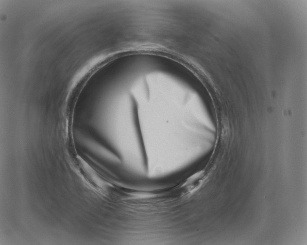 X0000080711414200701050958