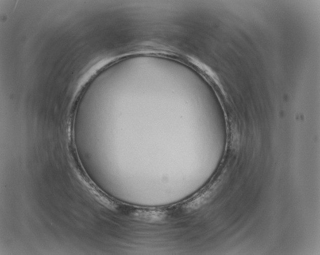 X0000080711415200701050958