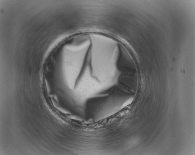 X0000080711416200701050958