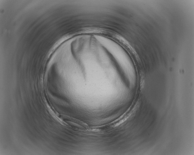 X0000080711417200701050958