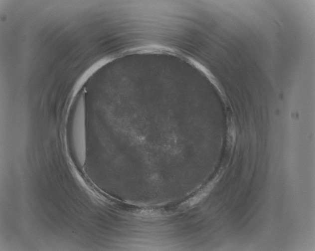 X0000080711418200701050958