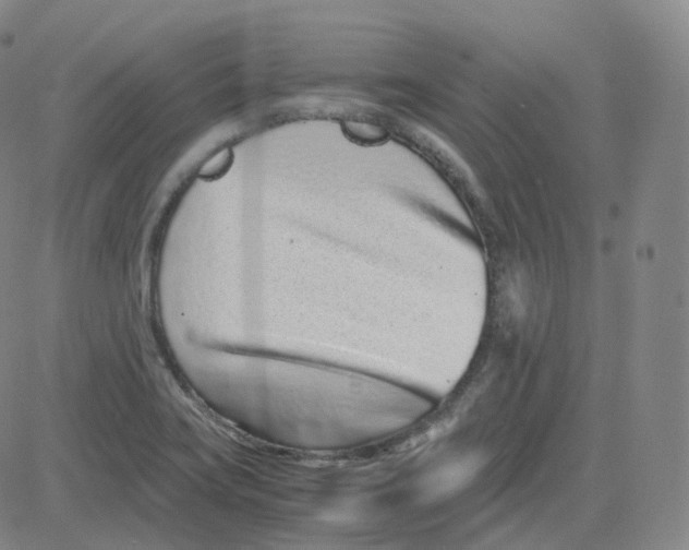 X0000080711419200701050958