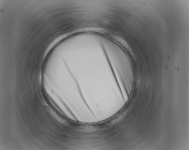 X0000080711420200701050958