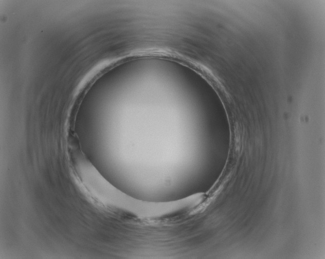 X0000080711422200701050958