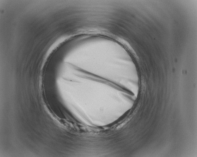 X0000080711424200701050958