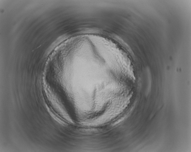 X0000080711425200701050958