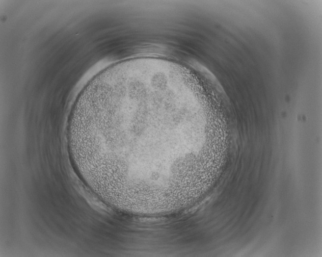 X0000080711427200701050958