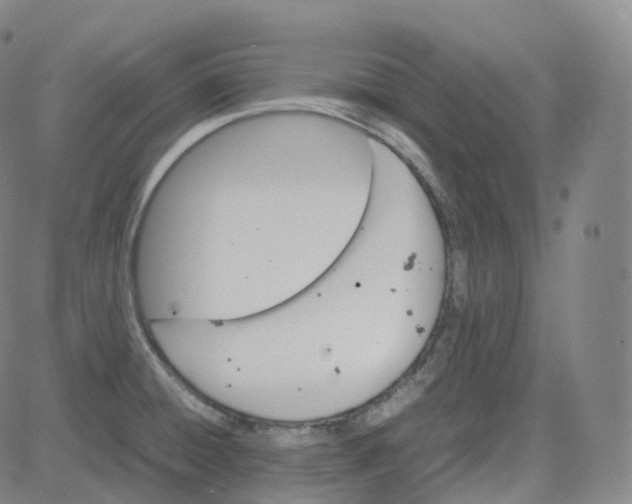 X0000080711428200701050958