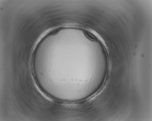 X0000080711429200701050958