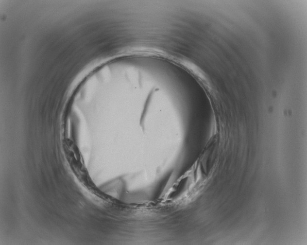 X0000080711430200701050958