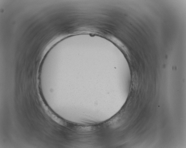 X0000080711431200701050958