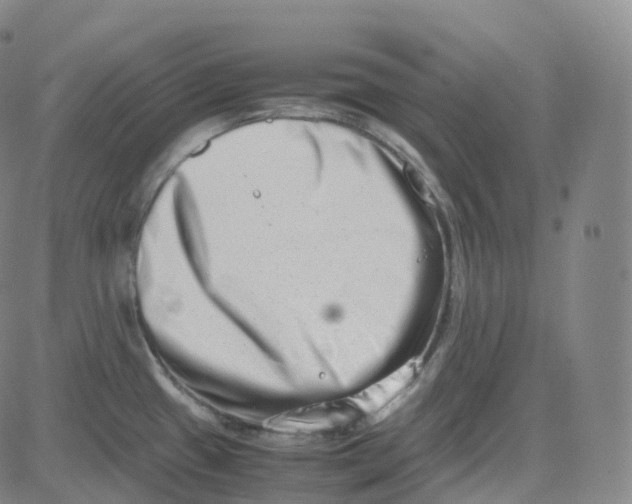 X0000080711433200701050958