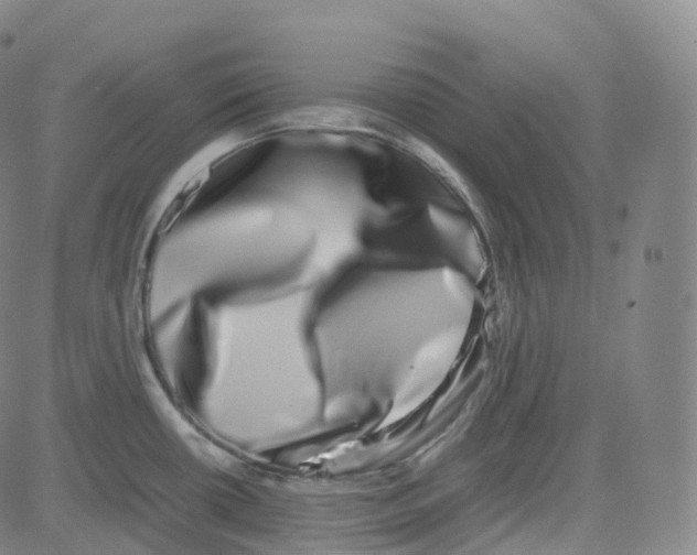 X0000080711434200701050958