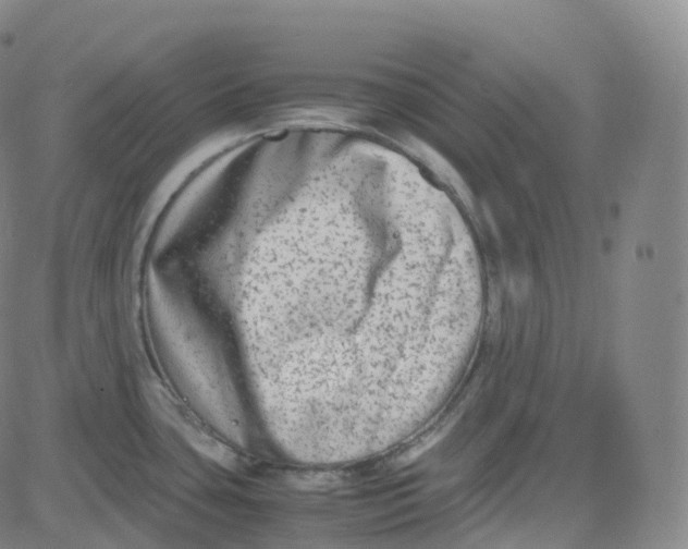 X0000080711435200701050958