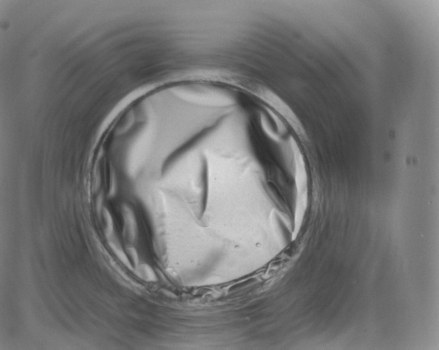 X0000080711436200701050958