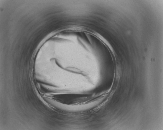 X0000080711437200701050958