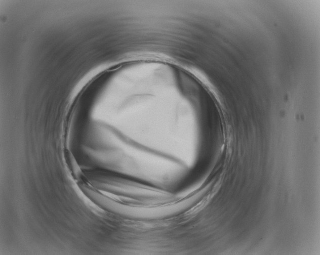 X0000080711438200701050958