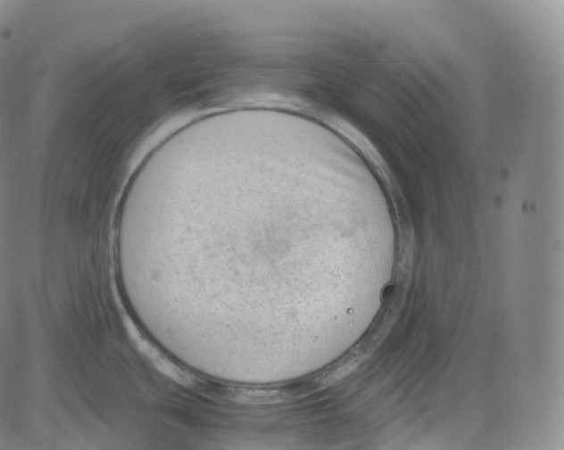 X0000080711439200701050958