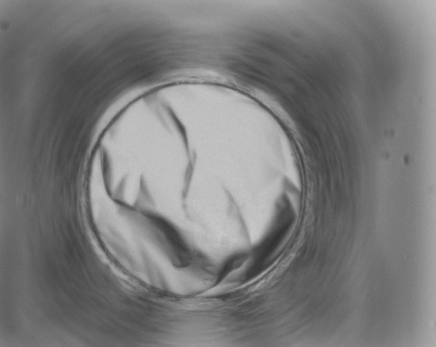 X0000080711440200701050958