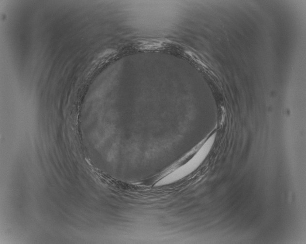 X0000080711441200701050958