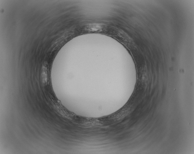 X0000080711442200701050958