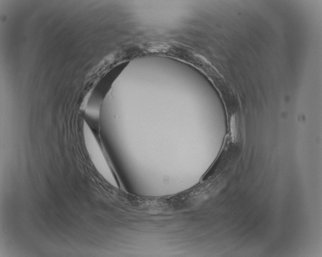 X0000080711443200701050958