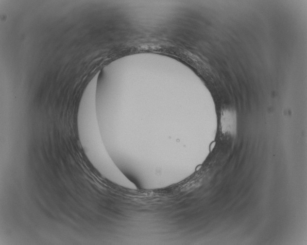 X0000080711444200701050958