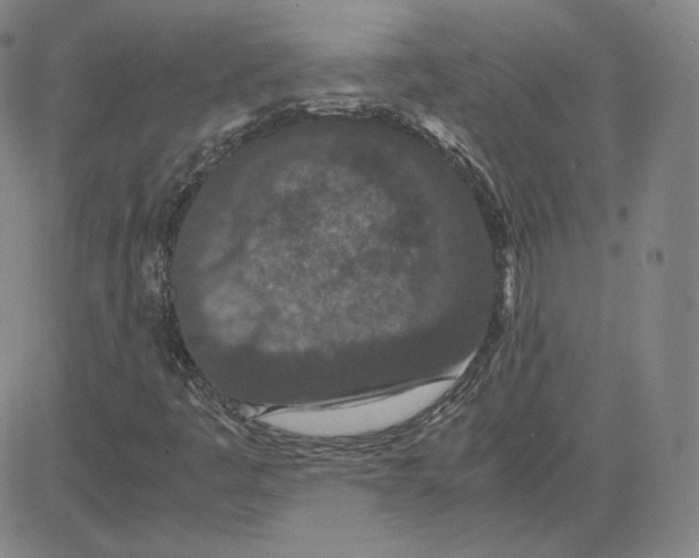 X0000080711445200701050958