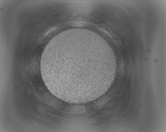 X0000080711446200701050958