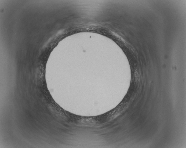 X0000080711447200701050957