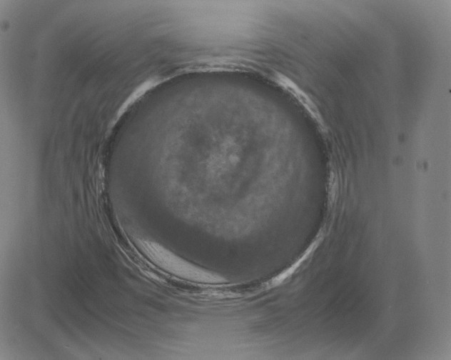 X0000080711449200701050957