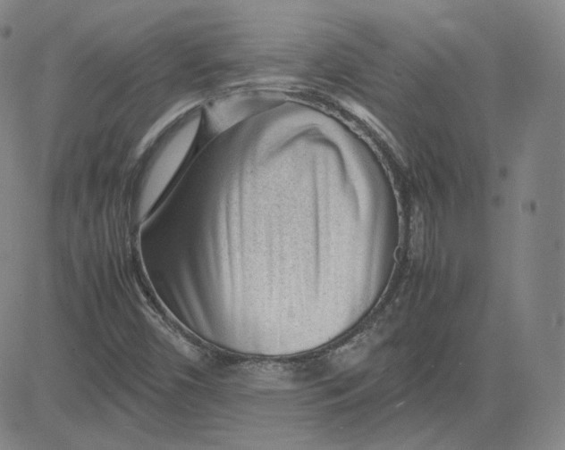 X0000080711450200701050957