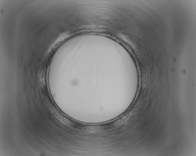 X0000080711451200701050957