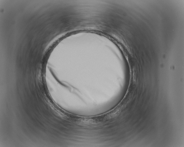 X0000080711452200701050957