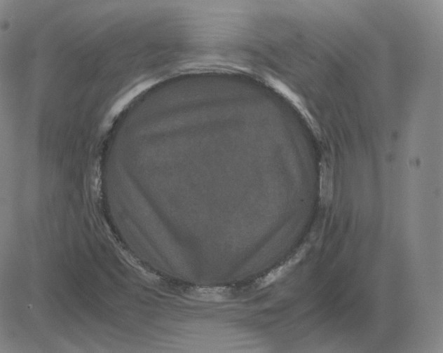 X0000080711453200701050957