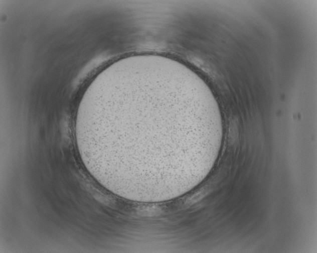 X0000080711454200701050957