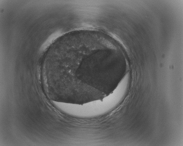 X0000080711455200701050957