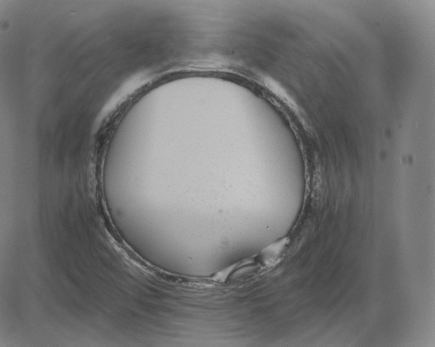 X0000080711456200701050957