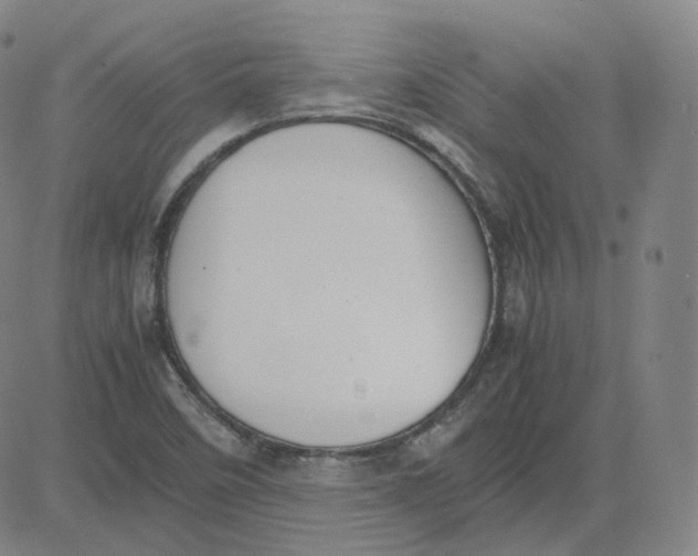 X0000080711458200701050957