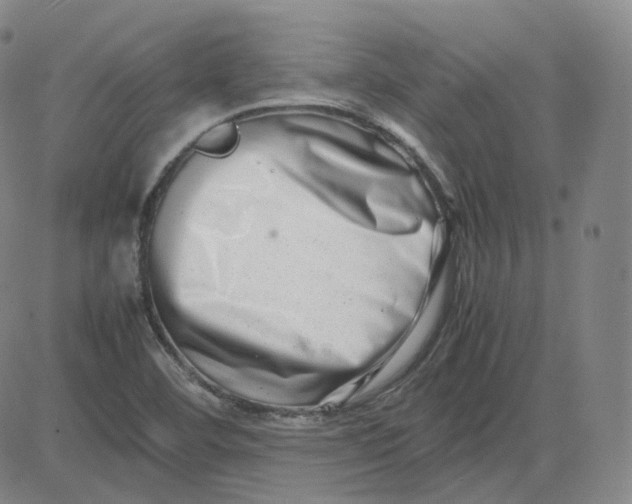 X0000080711460200701050957