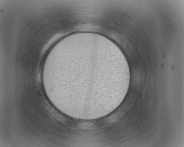 X0000080711462200701050957